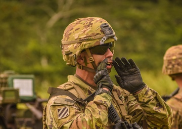 Bravo Battery 2-11 FA FTX