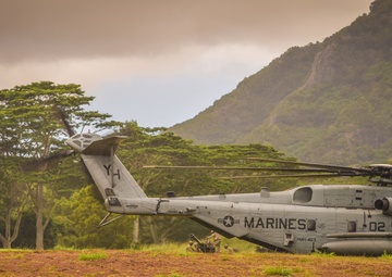 Bravo Battery 2-11 FA FTX