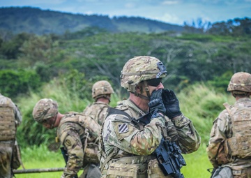 Bravo Battery 2-11 FA FTX