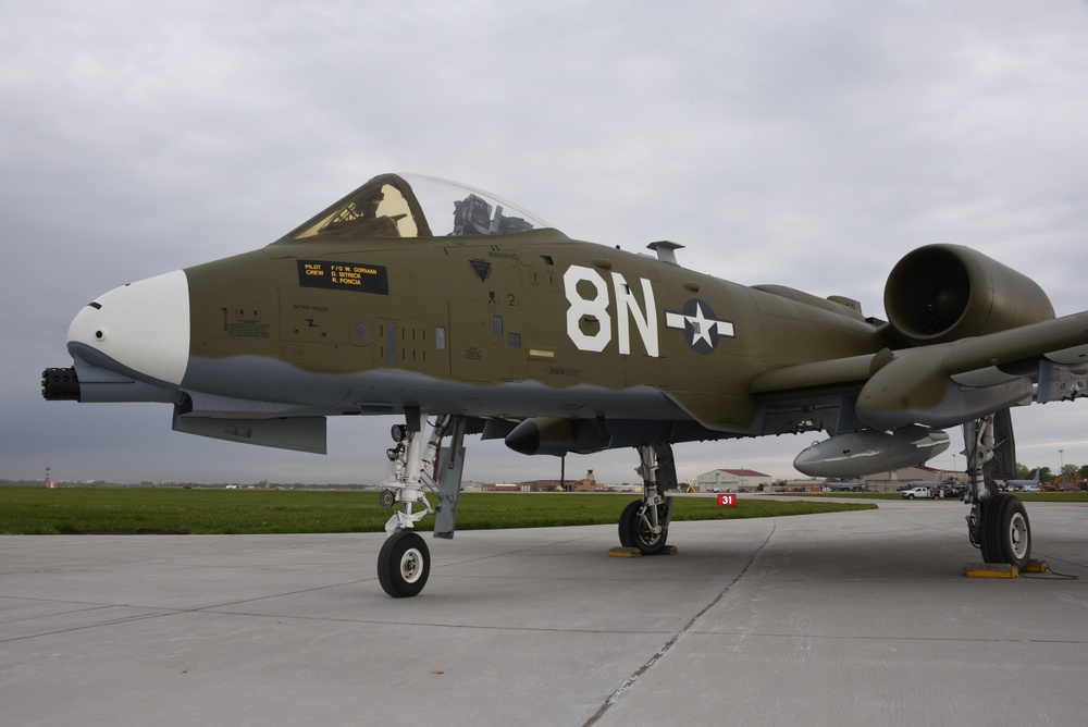 ANG 124th FW A-10 heritage paint