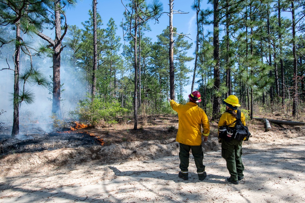 Dvids News Fort Jackson Resumes Prescribed Burns