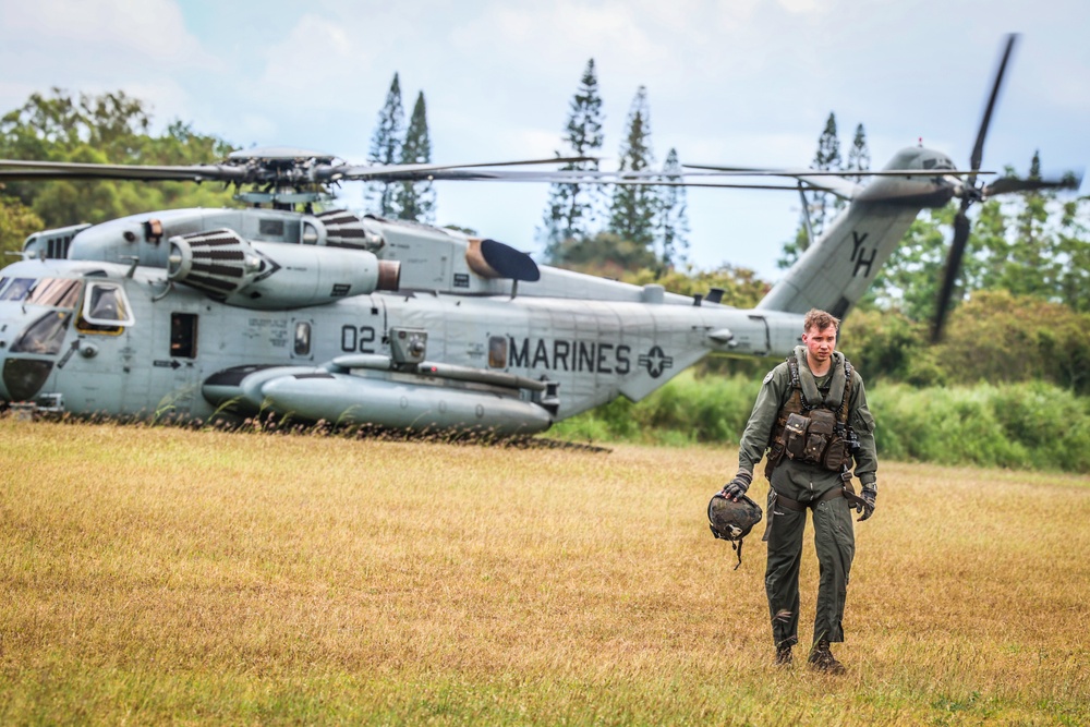 Joint Air Assault - Marines and 25th Infantry Division Artillery Soldiers