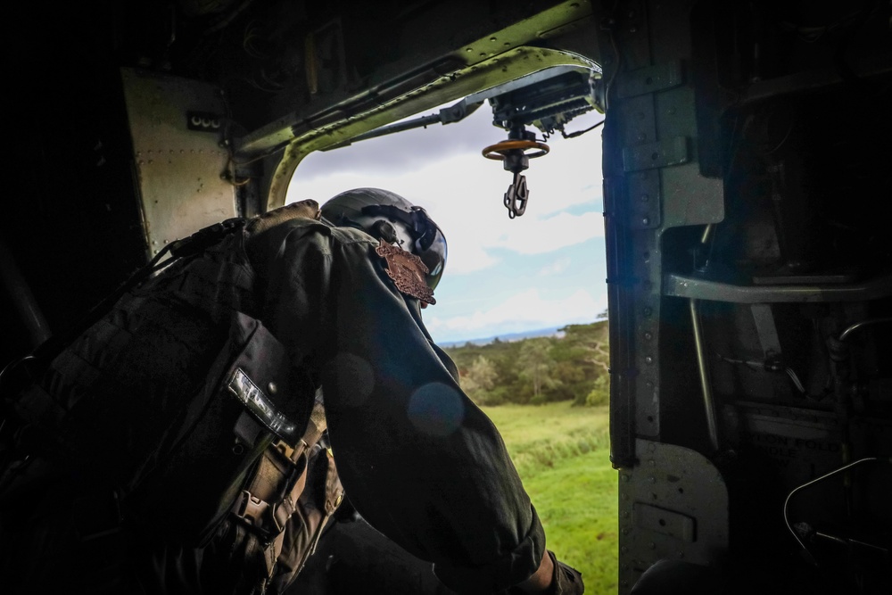 Joint Air Assault - Marines and 25th Infantry Division Artillery Soldiers