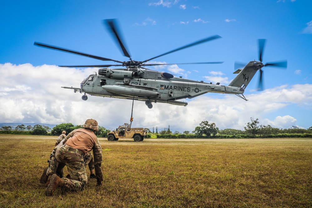 Joint Air Assault - Marines and 25th Infantry Division Artillery Soldiers