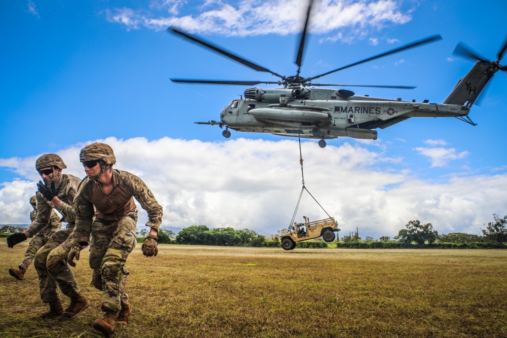 Joint Air Assault - Marines and 25th Infantry Division Artillery Soldiers