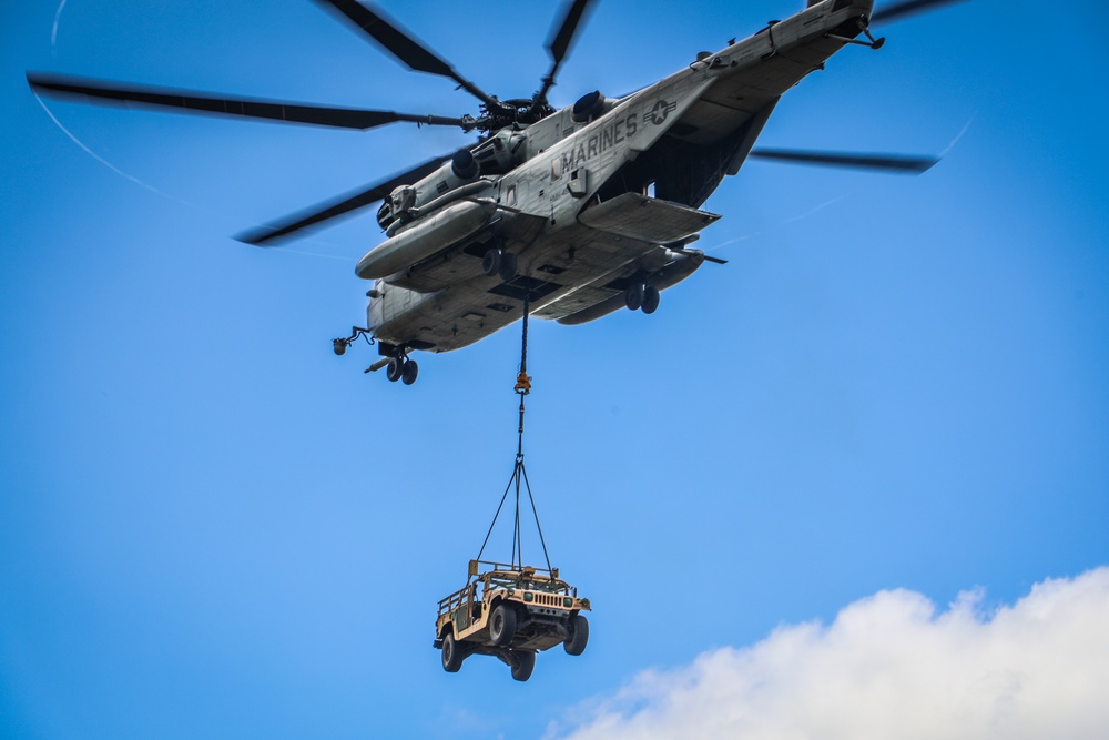 Joint Air Assault - Marines and 25th Infantry Division Artillery Soldiers