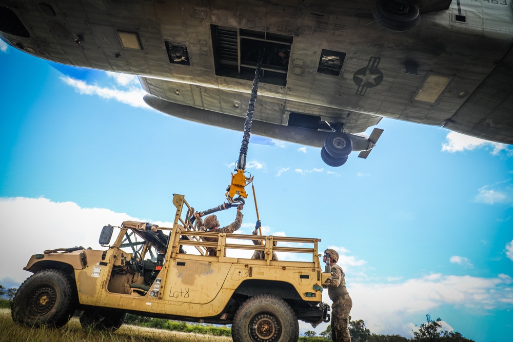 Joint Air Assault - Marines and 25th Infantry Division Artillery Soldiers