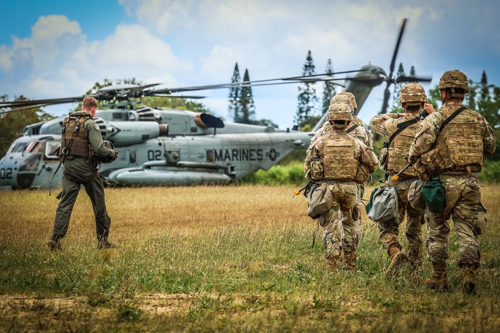 Joint Air Assault - Marines and 25th Infantry Division Artillery Soldiers