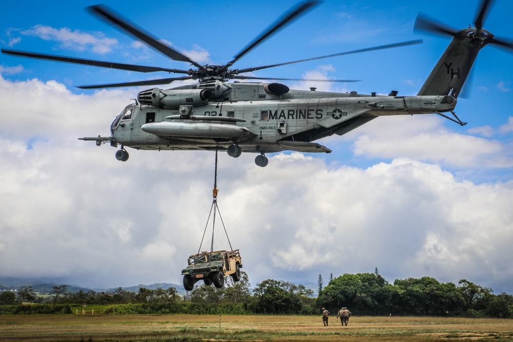 Joint Air Assault - Marines and 25th Infantry Division Artillery Soldiers