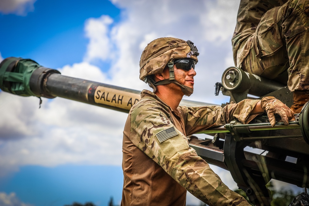 Joint Air Assault - Marines and 25th Infantry Division Artillery Soldiers