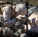 MRF-D hones weapons capabilities