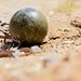 332nd EOD Airmen exercise UXO response