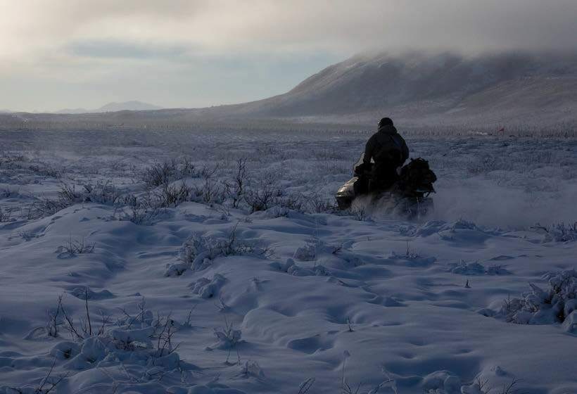 Winter is Here: USAMRDC Charts Course for Army’s Arctic Strategy
