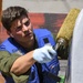 USS Hershel &quot;Woody&quot; Williams maintenance in Croatia