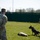 MWD capability brief and demo for USAG Benelux Commander