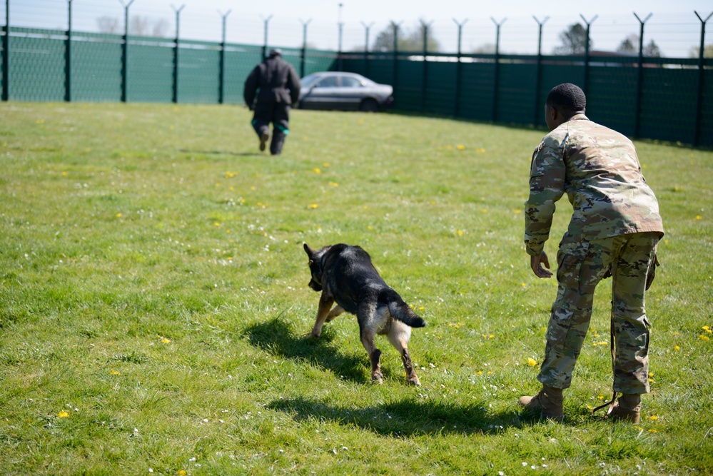 MWD capability brief and demo for USAG Benelux Commander