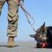 MWD capability brief and demo for USAG Benelux Commander