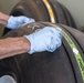 167th Maintainers Prepare Wheels and Tires for Aircraft