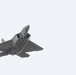 Raptor soars off Alaskan runway