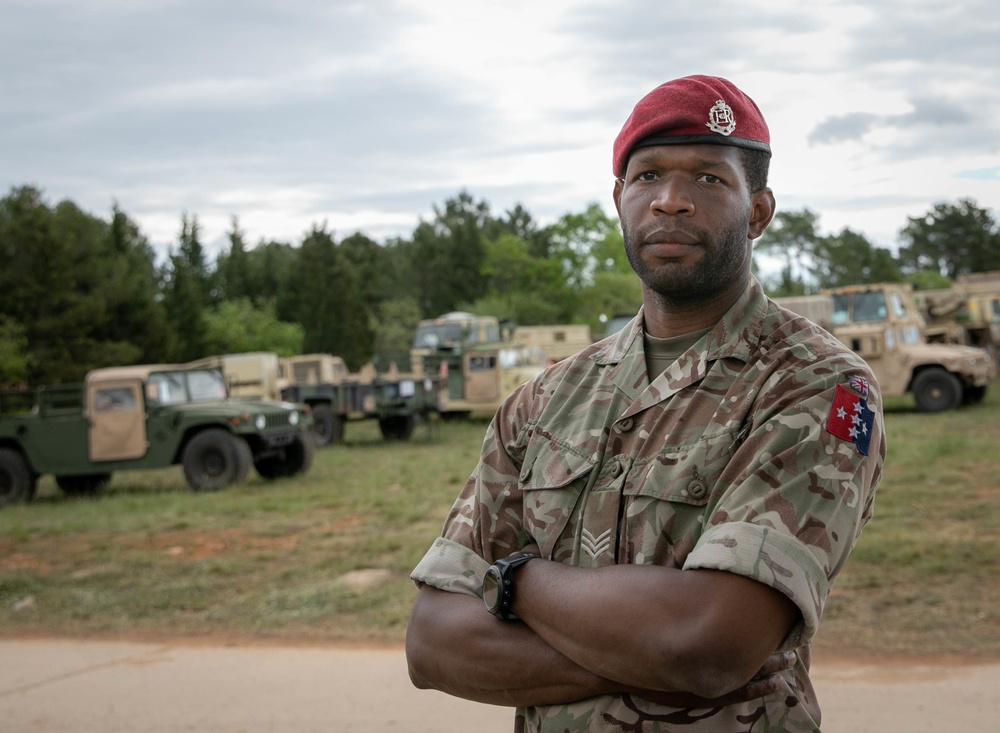 British MP keeping NATO allies and partners safe