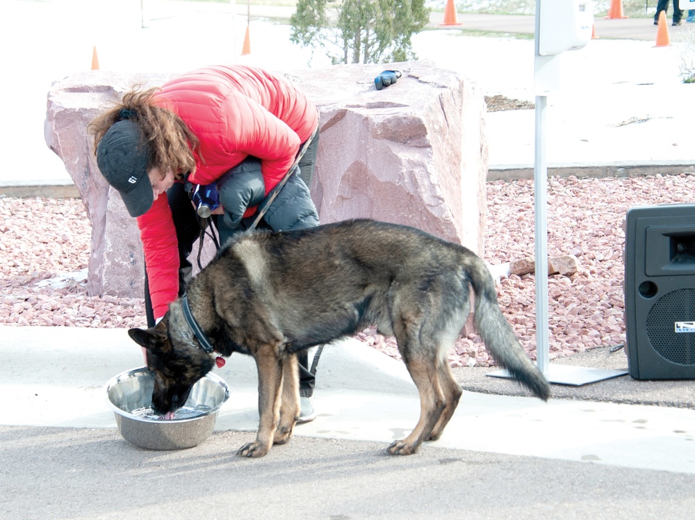 DFMWR hosts annual warrior dog run