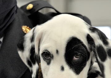 Higbee earns ‘spot’ on FCFD staff