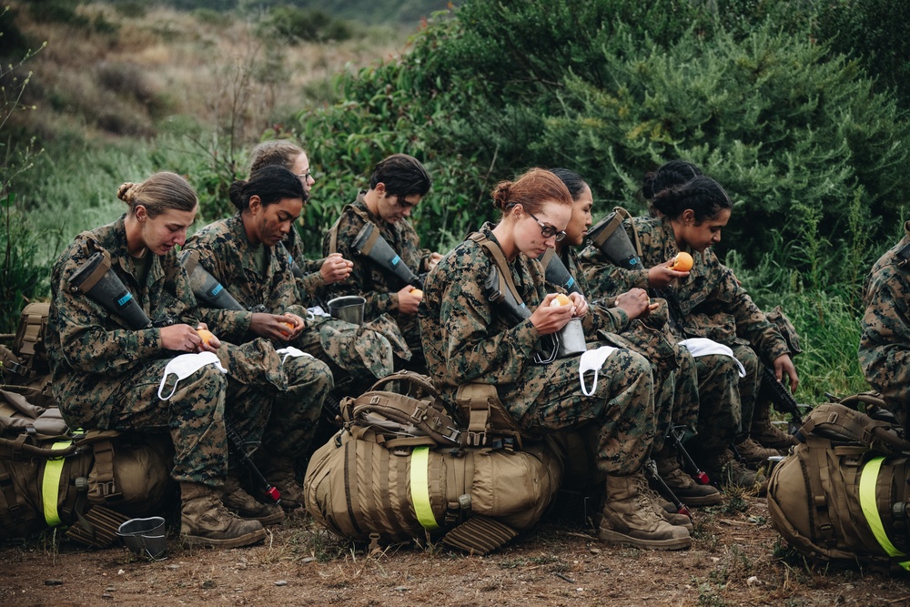 MCRD San Diego: Lima Company EGA Ceremony