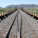 Railway tracks completed across new bridge in Presidio, Texas