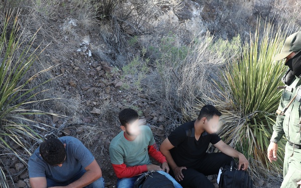 Big Bend Sector apprehensions in the field