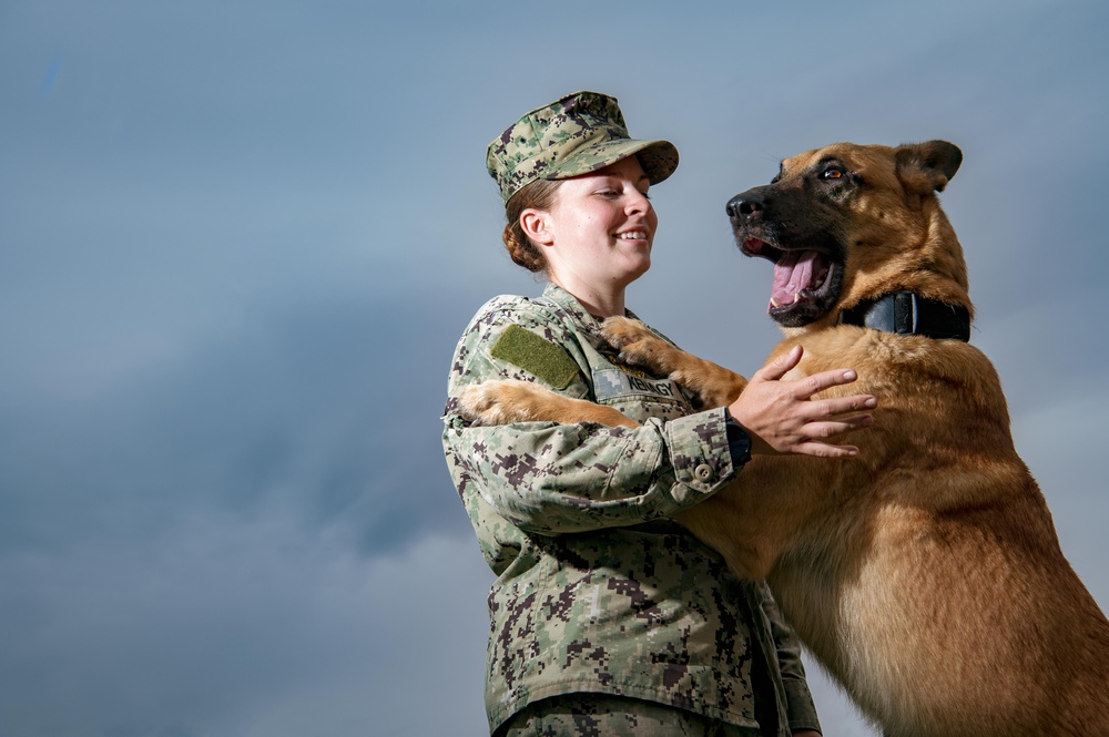 CFAY Military Working Dog Handlers Train with K-9s