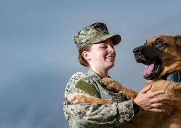 CFAY Military Working Dog Handlers Train with K-9s