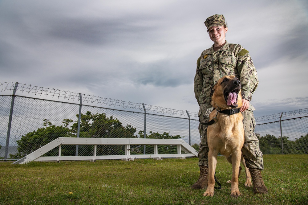 CFAY Military Working Dog Handlers Train with K-9s