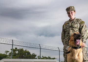 CFAY Military Working Dog Handlers Train with K-9s