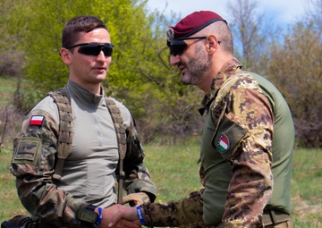 Polish KFOR soldiers conduct ABL patrol