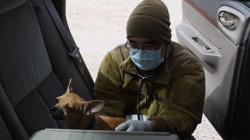 Soldiers team up for Innovative Readiness Training in Belcourt, ND