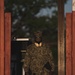 Live-Fire Exercise