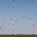 DEFENDER-Europe 21- Swift Response