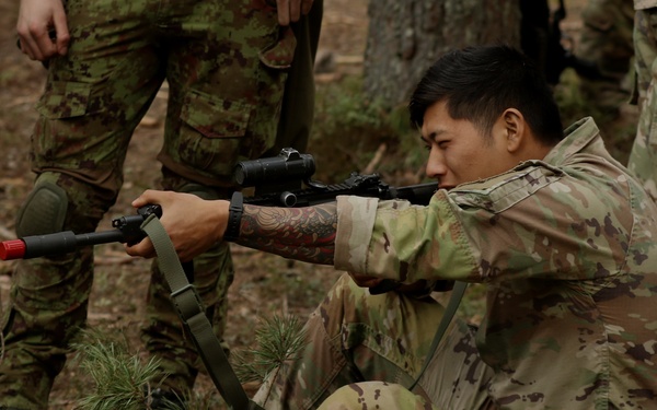 Stronger Together: US and Estonian scouts train Swift Response 21
