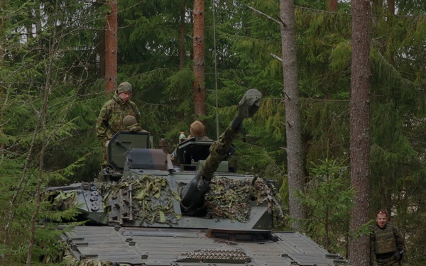 Stronger Together: US and Estonian scouts train Swift Response 21