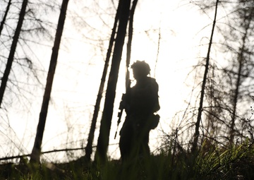 Stronger Together: US and Estonian scouts train Swift Response 21