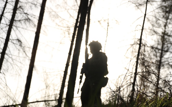 Stronger Together: US and Estonian scouts train Swift Response 21