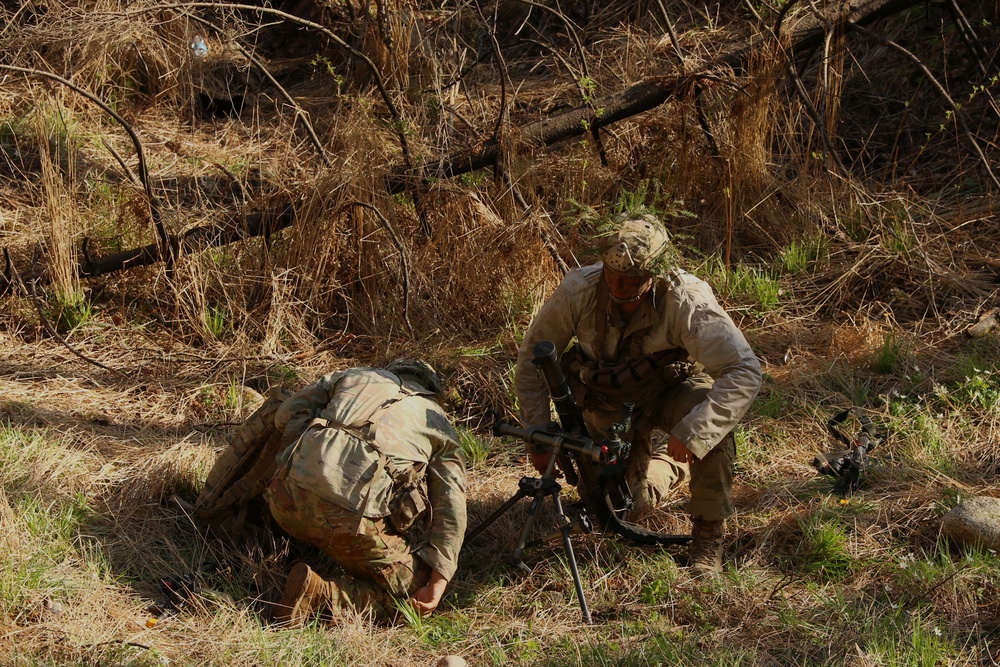 Stronger Together: US and Estonian scouts train Swift Response 21