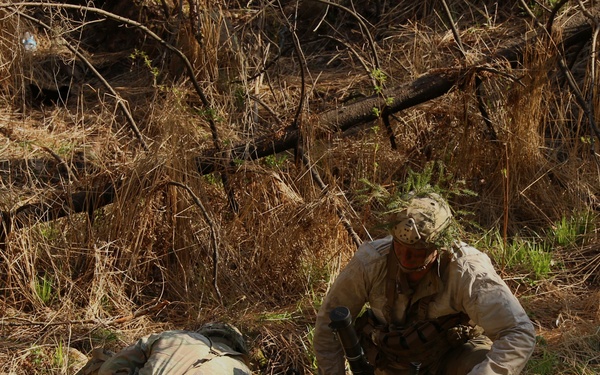 Stronger Together: US and Estonian scouts train Swift Response 21