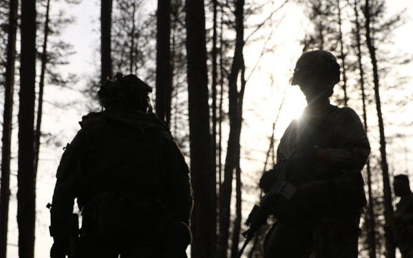 Stronger Together: US and Estonian scouts train Swift Response 21