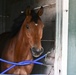 Pimlico Race Course Jockey Vaccine Clinic