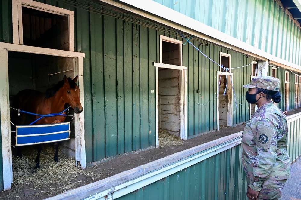 Pimlico Race Course Jockey Vaccine Clinic