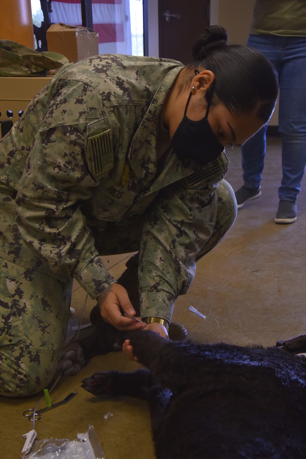 Military working dog dummy training