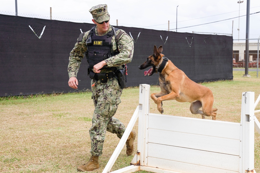 Military Working Dogs
