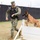 Military Working Dogs