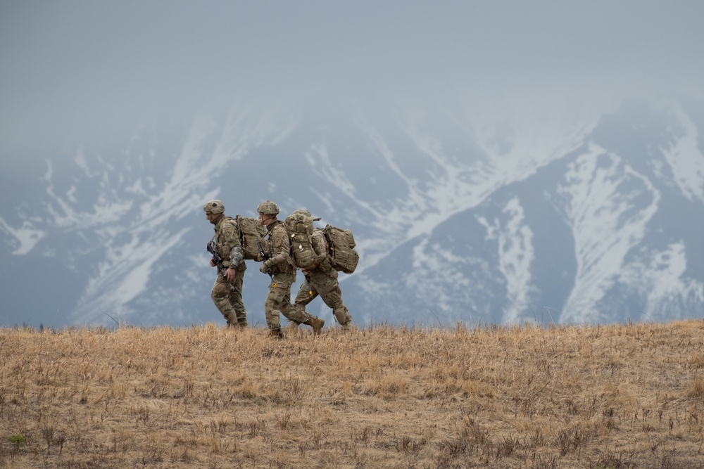 Arctic Paratroopers conduct Joint Forcible Entry Operation During NE21